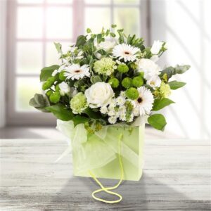 Lime & White Gift Bag